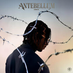 Décembre à Décembre