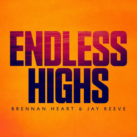 Endless Highs