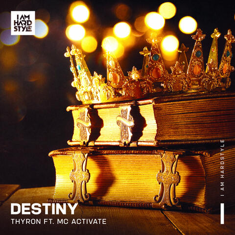 Destiny (feat. MC Activate)