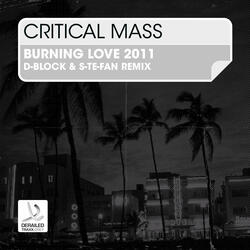 Burnin' Love