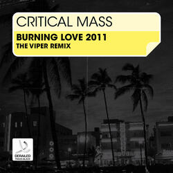 Burnin' Love