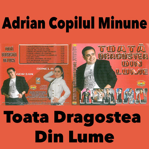 Toata Dragostea Din Lume