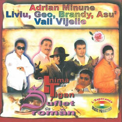Inima de Tigan, Suflet de Roman