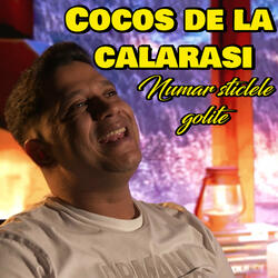 Numar sticle golite