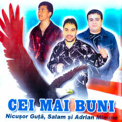 Ce-aș putea să-ți mai ofer