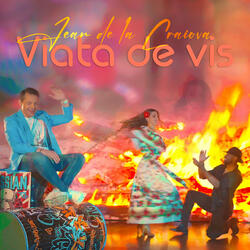 Viata de vis