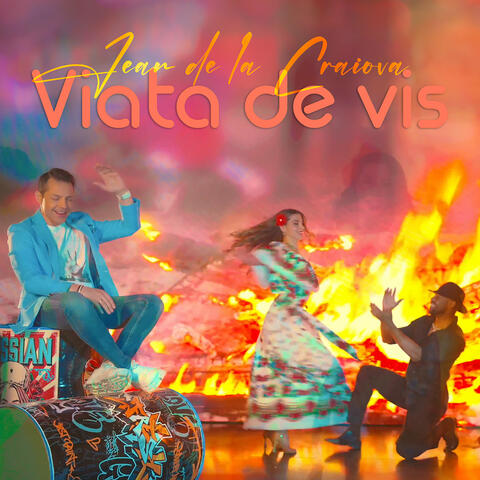 Viata de vis