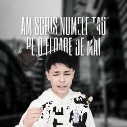 Am scris numele tau, pe o floare de mai