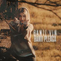 Banii Vin, Banii Pleaca