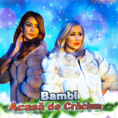 Acasă de Crăciun