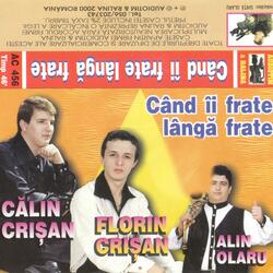 Toata lumea duce un dor