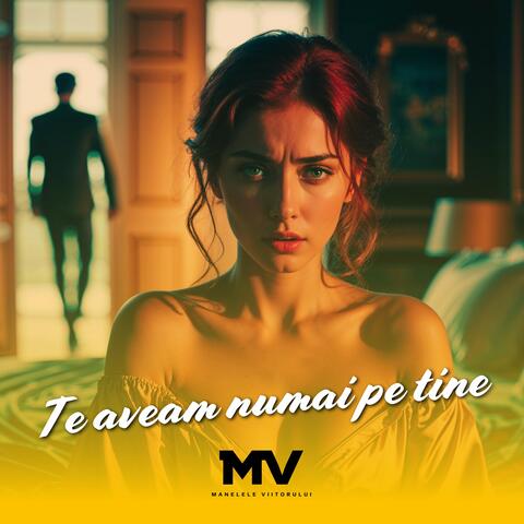Te aveam numai pe tine