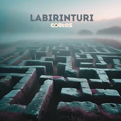 Labirinturi