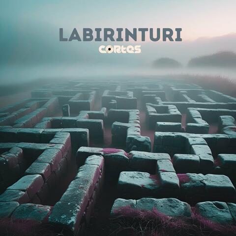 Labirinturi