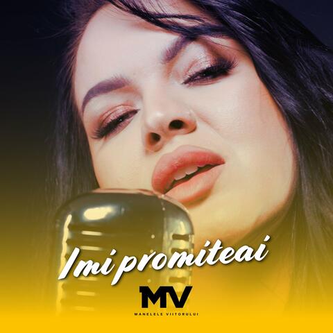 Imi promiteai