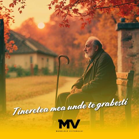 Tineretea mea unde te grabesti