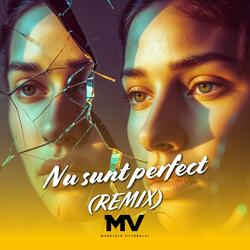 Nu sunt perfect (Remix)