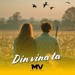 Din vina ta
