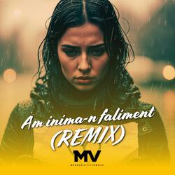 Am inima-n faliment (Remix)