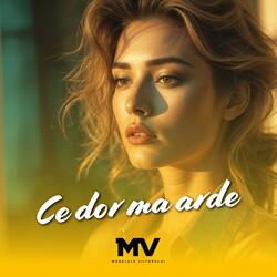 Ce dor ma arde