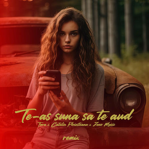 Te-as suna sa te aud (Remix)