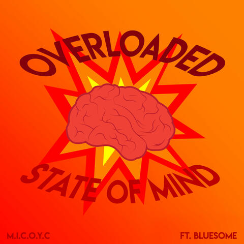 Overloaded State of Mind