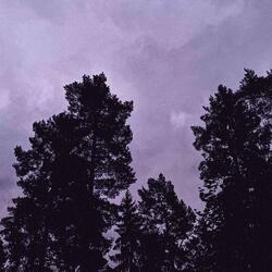 En tiedä miten voittaa