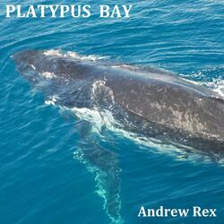 Platypus Bay