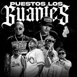 Puestos los Guantes