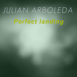 Perfect Landing