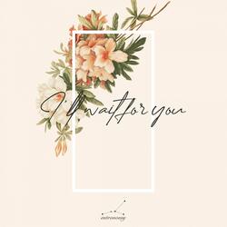 I'll Wait for You