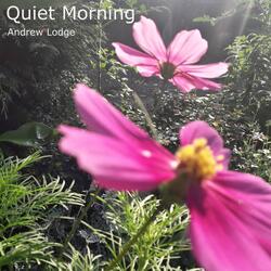 Quiet Morning