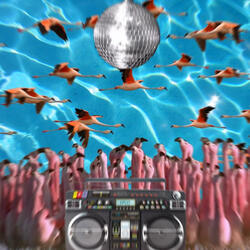 Flamingo Funk Blaster
