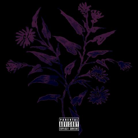 The Blood On Our Leaves - Pt. Two