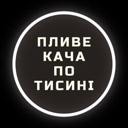 Пливе кача по Тисині