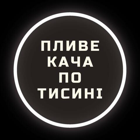 Пливе кача по Тисині