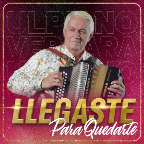 Llegaste para quedarte