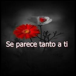 Se parece tanto a ti