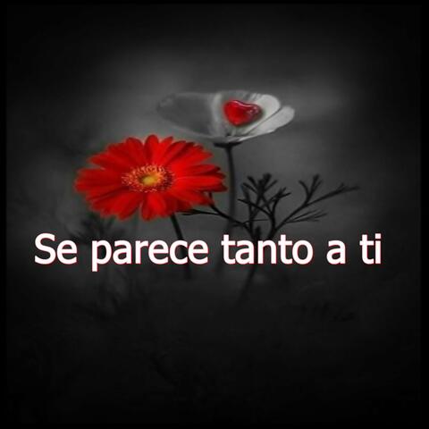 Se parece tanto a ti