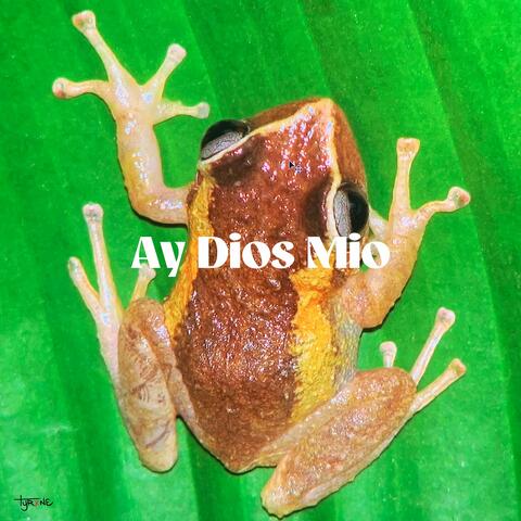Ay Dios Mio