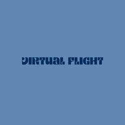 Virtual Flight