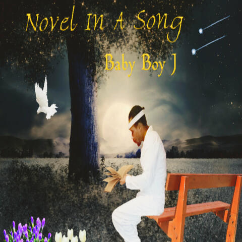 Novel In A Song