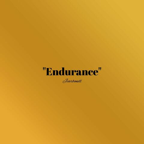 Endurance