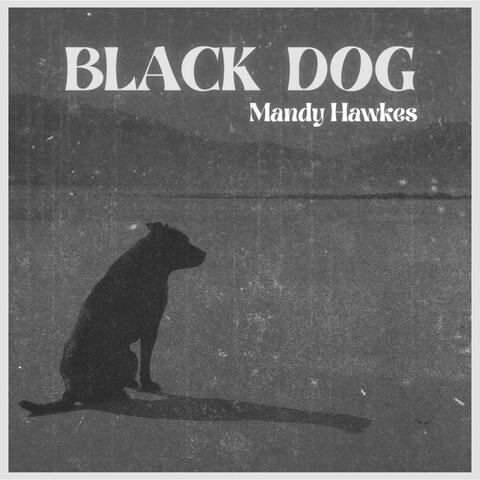 Black Dog