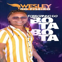 Forrozinho do Bota Bota
