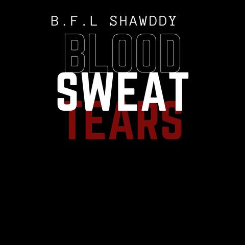 Blood Sweat Tears
