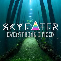 Everything I Need