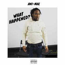What Happened