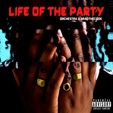 Life of the Party