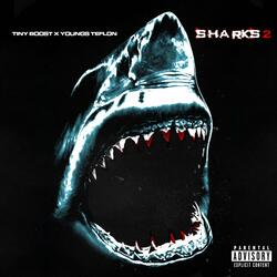 Sharks 2